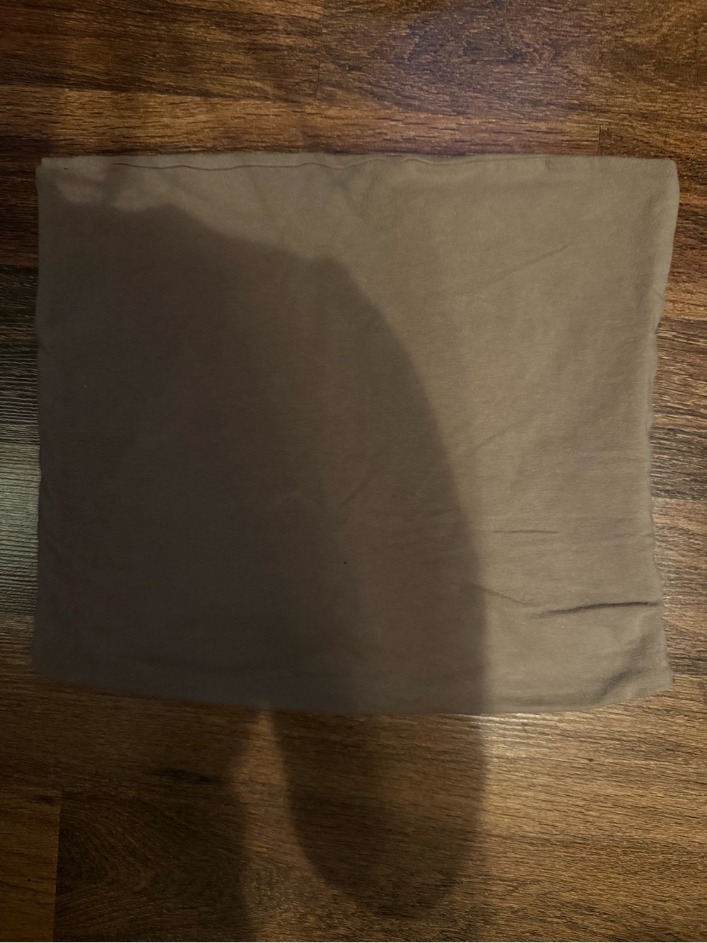 Hollister Brown tube top